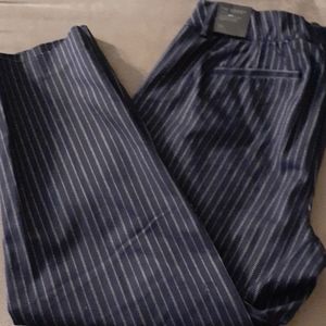 Lane Bryant modernist Ashley striped pants skinny